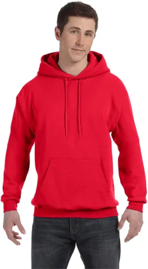 Hanes Men's Hoodie